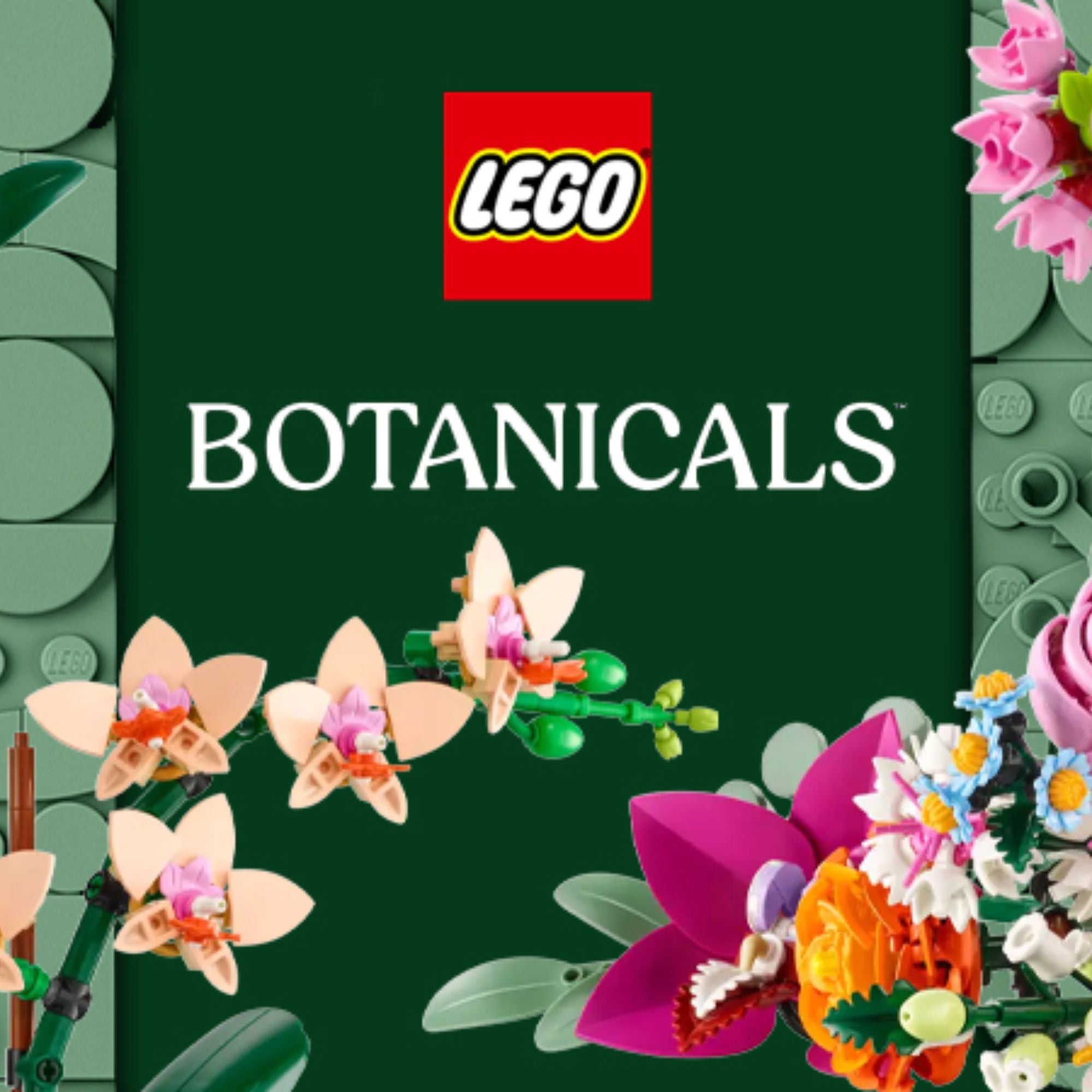 Botanicals